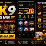 DK9 Game